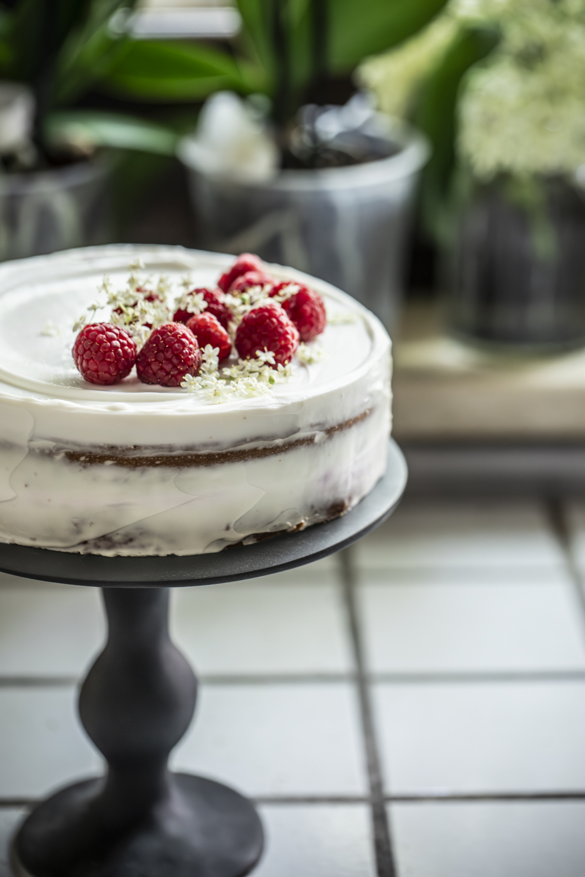 torta con sciroppo di sambuco e lamponi